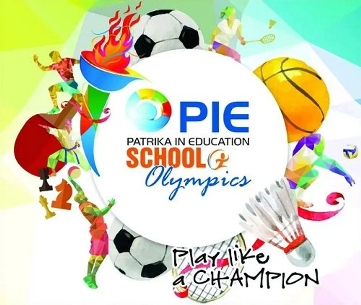 pie cover